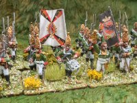 SMALL Napoleonic 30   2018  Russian Grenadiers